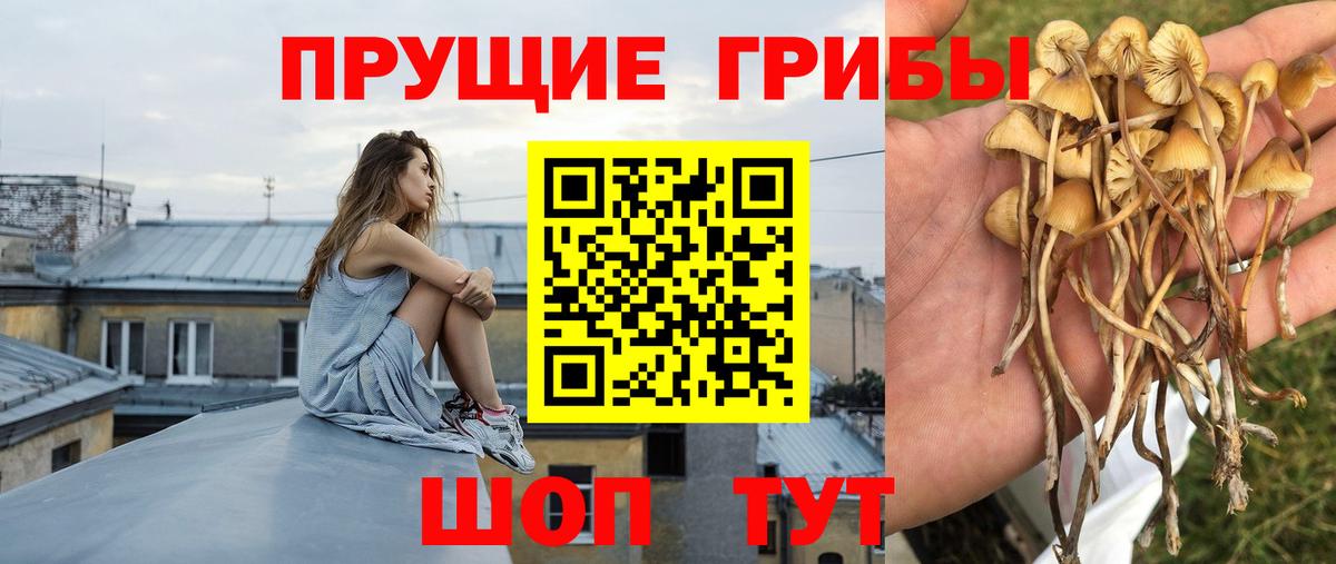 Псилоцибиновые грибы MAGIC MUSHROOMS  Галлюциногенные грибы Psilocybine cubensis  Вход с VPN  Южноуральск 
