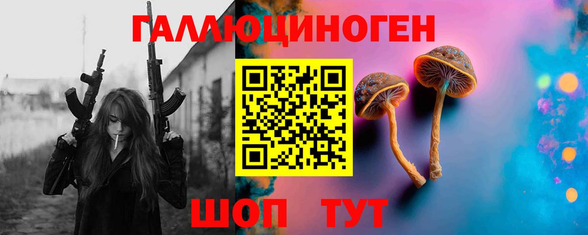 Галлюциногенные грибы Psilocybe Южноуральск